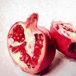 pomegranate